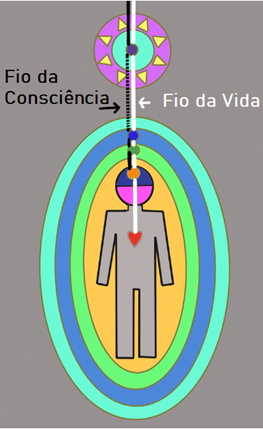 Como prometido, cheguei a um assunto completamente novo, que é Sono e Sonhos.Não tenha medo, todo o esforço que você fez para entender a existência dos Planos da Matéria e dos Invólucros da Encarnação vem a calhar aqui.